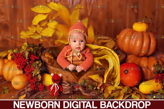 Newborn digital backdrops & Baby backdrop, Digital newborn nature backdrop: Newborn photo prop, Fall background, Baby digital backdrops Il_570xn