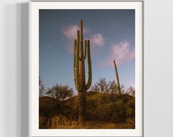 Desert Night Saguaro Cactus Print, Southwestern Photography