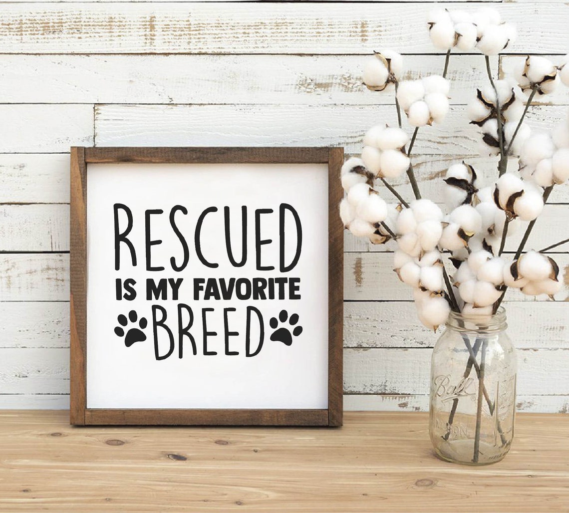 Rescue Dog Svg File Cricut Vector Art Commercial & Personal | Etsy