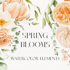 Clipart aquarelle florale de printemps. 22 éléments. Fleurs de jardin oranges élégantes et feuilles vertes. Clipart de mariage. Graphismes du logo de l'invitation