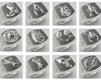 Details about Salamander Talisman • Sagittarius Zodiac Symbol • Men's Ring •Sterling Silver925 Details about Salamander Talisman • Sagittarius Zodiac Symbol • Men's Ring •Sterling Silver925