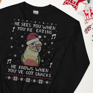 Snack Male Pineapple Conure Ugly Christmas Sweatshirt, Birb memes clothes, Santa claus Parrot apparel