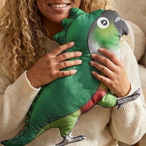 Pu&ograve; includere: Un cuscino di peluche a forma di pappagallo verde con un occhio bianco, becco grigio e dettagli rossi. Il cuscino &egrave; tenuto da una persona che indossa un maglione color crema. Articolo decorativo.