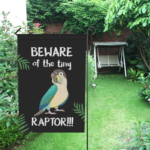 Beware of the Tiny Raptor Turquoise Yellow Sided Conure Garden | Etsy