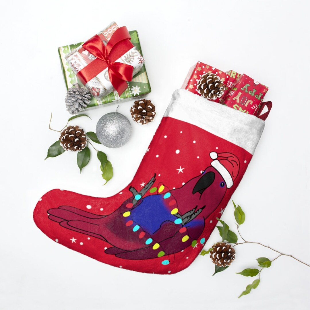 Eclectus Parrot Christmas Stocking: Festive Birb Owner Gift - Etsy