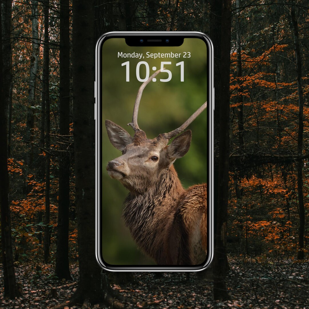 Deer Using Phone Wildlife Phone Wallpaper: Deer Photo for Phones and Tablets - Etsy
