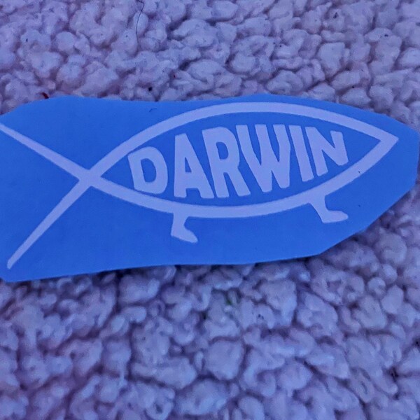Darwin Evolution Sticker Etsy