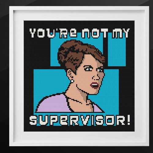 PATTERN Subversive Cross Stitch You're Not My Supervisor - Etsy