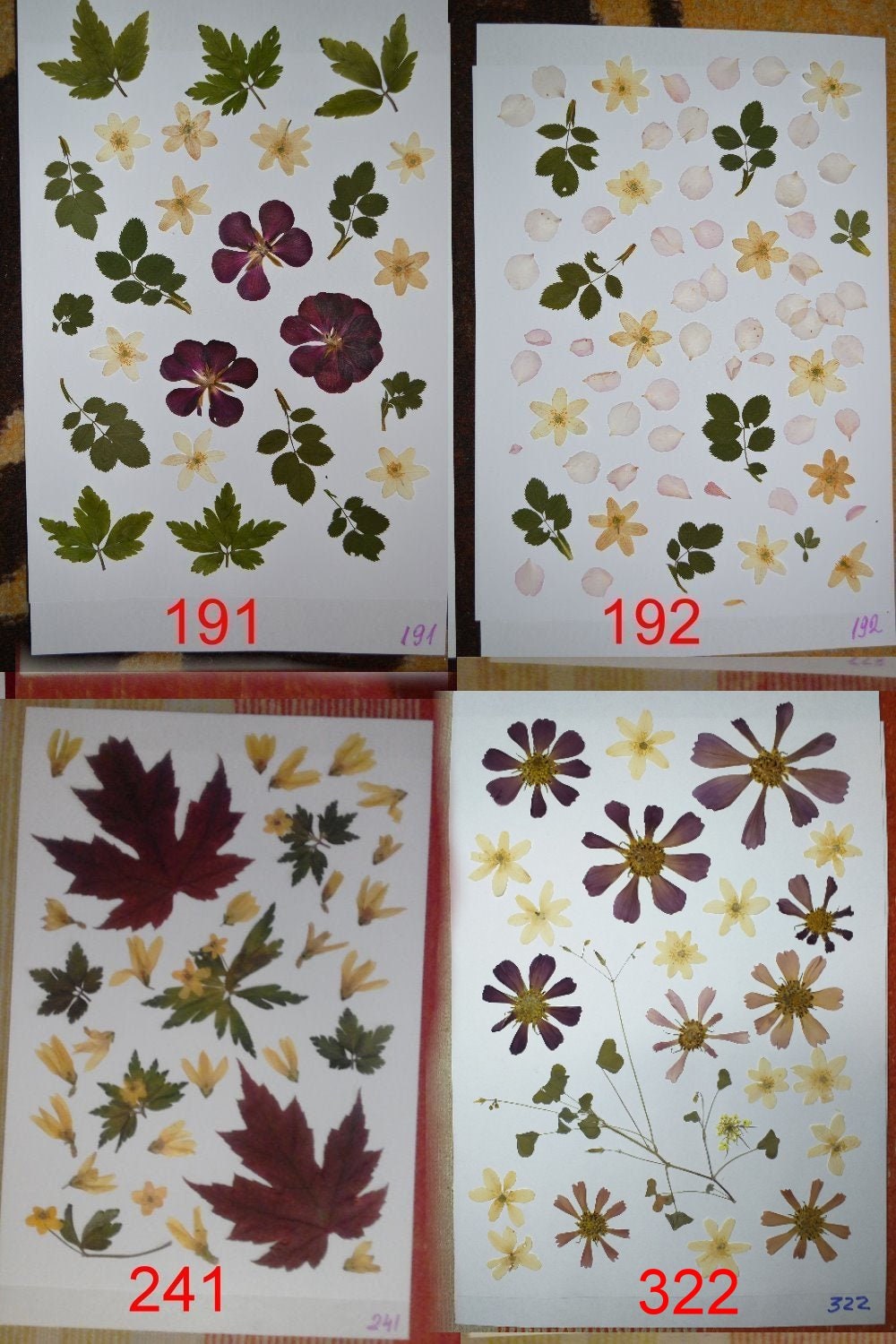 Pressed Flowers Oshibana Assortment Dried Pressed Fern Etsy