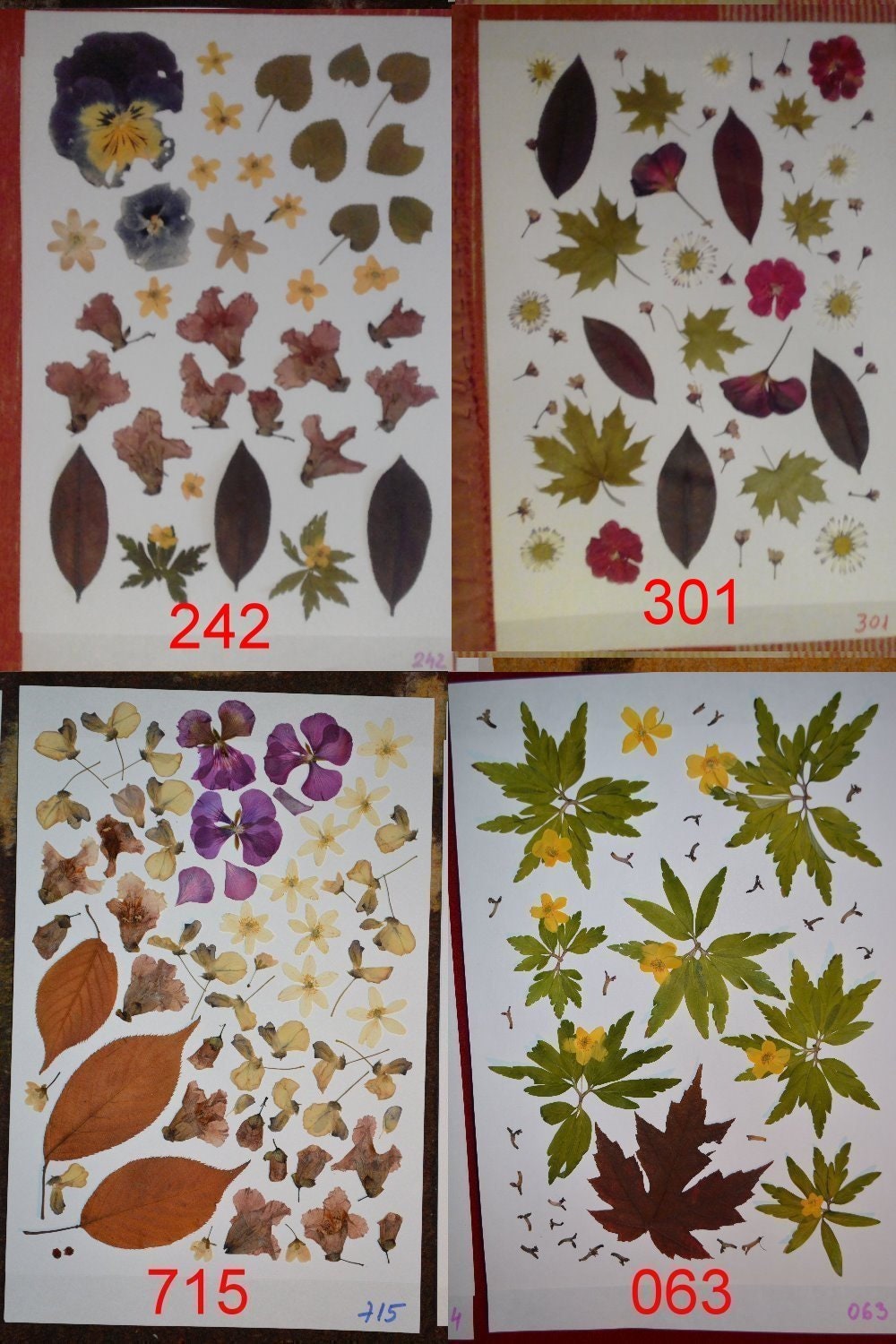 Pressed Flowers Pressed Leaves Nature Inspired Craft For Etsy