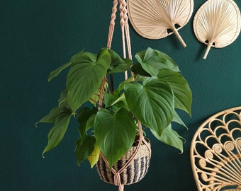 Hanging basket, macrame hanging basket, macrame plant hanger