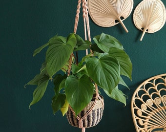 Blumenampel, Makramee Blumenampel, macrame plant hanger