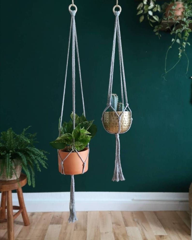 Puede incluir: Dos maceteros colgantes de macram&eacute; grises con borlas que cuelgan del techo contra una pared verde oscuro. Un macetero sostiene una maceta de terracota con una planta verde, y el otro sostiene una maceta de metal dorado con un peque&ntilde;o cactus.