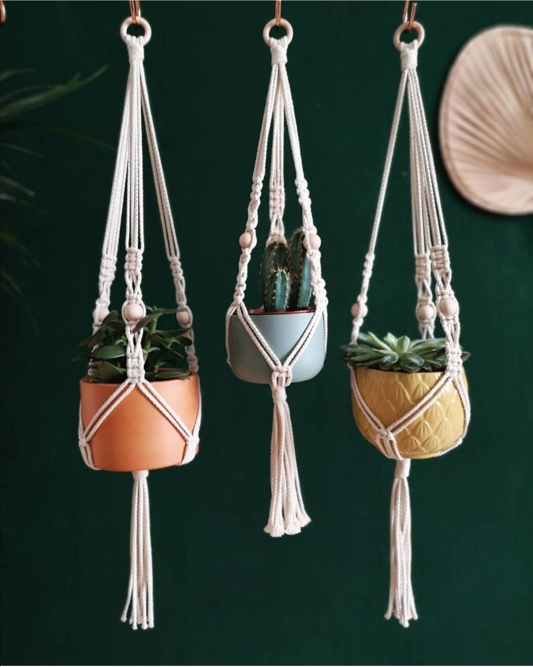 Feu de Circulation Fleurs, Feu Fleurs Macramé, Cintre Plantes, Plantes Macramé