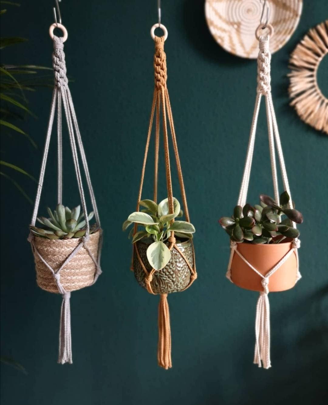 Feu de Circulation Fleurs, Feu Fleurs Macramé, Cintre Plantes Décoration Plantes