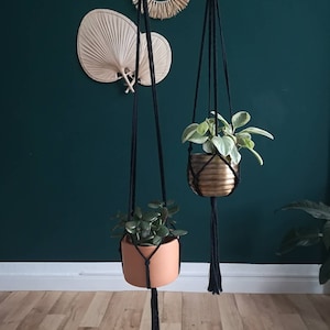Puede incluir: Dos maceteros de macram&eacute; negros con anillos de madera colgados de una pared verde. Un macetero tiene una maceta de terracota con una planta verde, y el otro tiene una maceta dorada con una planta verde.