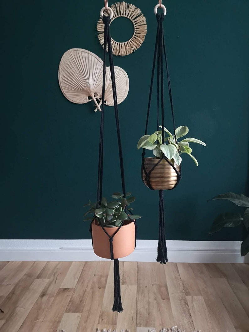 Puede incluir: Dos maceteros de macram&eacute; negros con anillos de madera colgados de una pared verde. Un macetero tiene una maceta de terracota con una planta verde, y el otro tiene una maceta dorada con una planta verde.