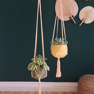 Puede incluir: Dos maceteros colgantes de macram&eacute; rosa con borlas que cuelgan del techo. Cada macetero tiene una planta en maceta. Las plantas est&aacute;n en una maceta amarilla y una maceta verde.