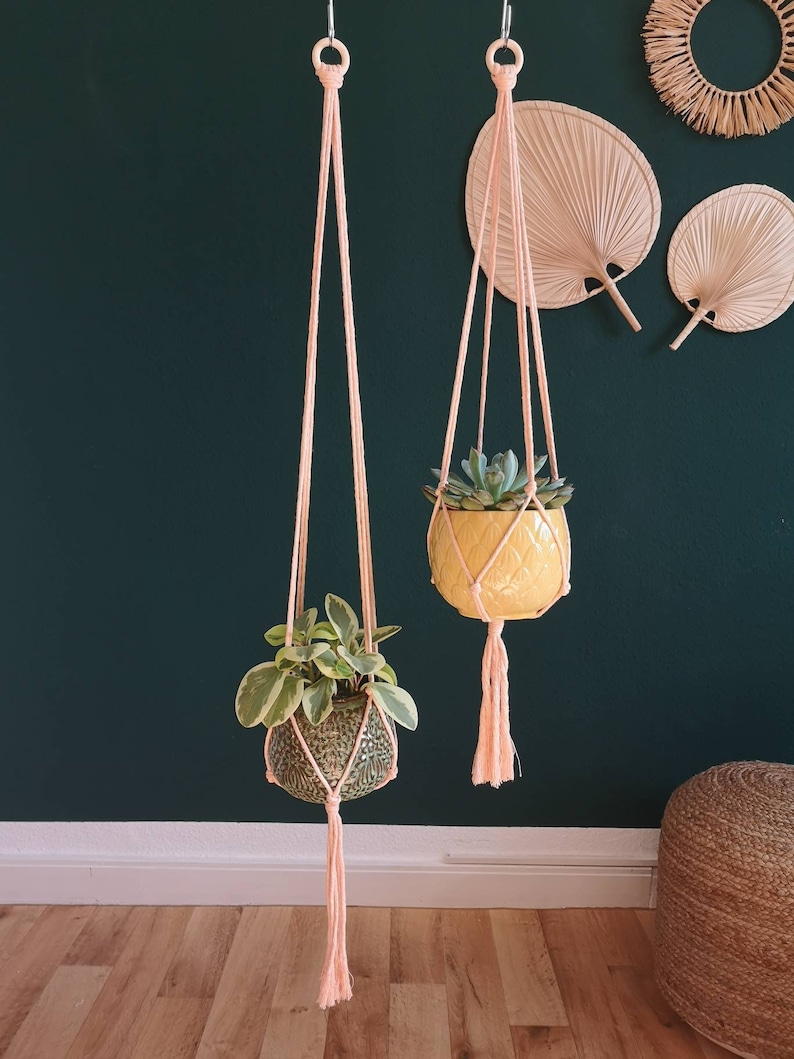 Puede incluir: Dos maceteros colgantes de macram&eacute; rosa con borlas que cuelgan del techo. Cada macetero tiene una planta en maceta. Las plantas est&aacute;n en una maceta amarilla y una maceta verde.