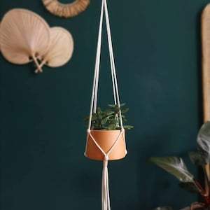 Könnte beinhalten: Ein weißer Makramee-Pflanzenhänger mit einem Terrakotta-Topf und einer kleinen grünen Pflanze, die daran hängt. Der Hänger hängt an einem Deckenhaken an einer dunkelgrünen Wand.