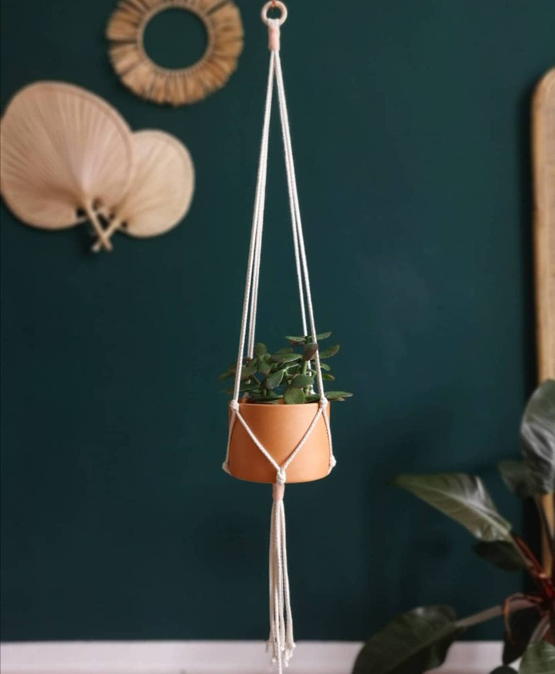 Feu de Circulation Fleurs avec Éclaboussures Couleur, Feu Macramé, Cintre Plantes Macramé