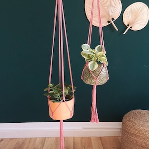 Puede incluir: Dos maceteros colgantes de macram&eacute; rosa con anillos de madera que cuelgan de una pared verde. Cada macetero tiene una planta en maceta con hojas verdes.
