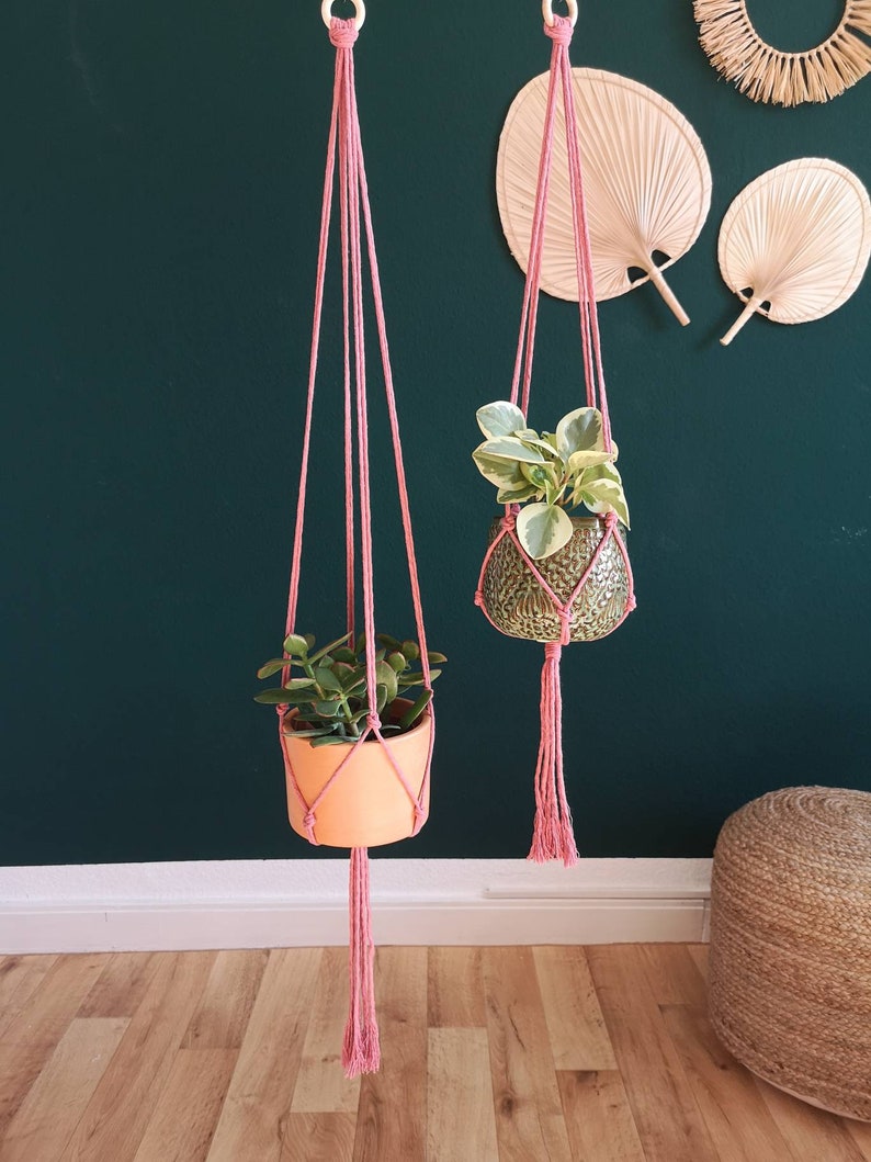 Puede incluir: Dos maceteros colgantes de macram&eacute; rosa con anillos de madera que cuelgan de una pared verde. Cada macetero tiene una planta en maceta con hojas verdes.