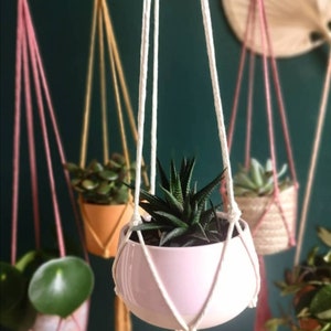 Puede incluir: Tres maceteros colgantes de macram&eacute; con cordones y macetas de diferentes colores. Los maceteros est&aacute;n colgados del techo y cada uno tiene un tipo de planta diferente. Las plantas son una suculenta, un pothos y un filodendro.