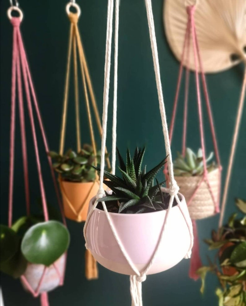 Puede incluir: Tres maceteros colgantes de macram&eacute; con cordones y macetas de diferentes colores. Los maceteros est&aacute;n colgados del techo y cada uno tiene un tipo de planta diferente. Las plantas son una suculenta, un pothos y un filodendro.