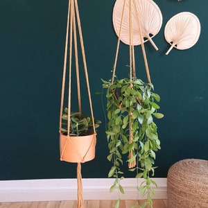 Puede incluir: Dos maceteros colgantes de macram&eacute; con macetas de terracota y plantas verdes colgando del techo contra una pared verde oscuro. Los maceteros colgantes tienen anillos de madera en la parte superior y borlas en la parte inferior.
