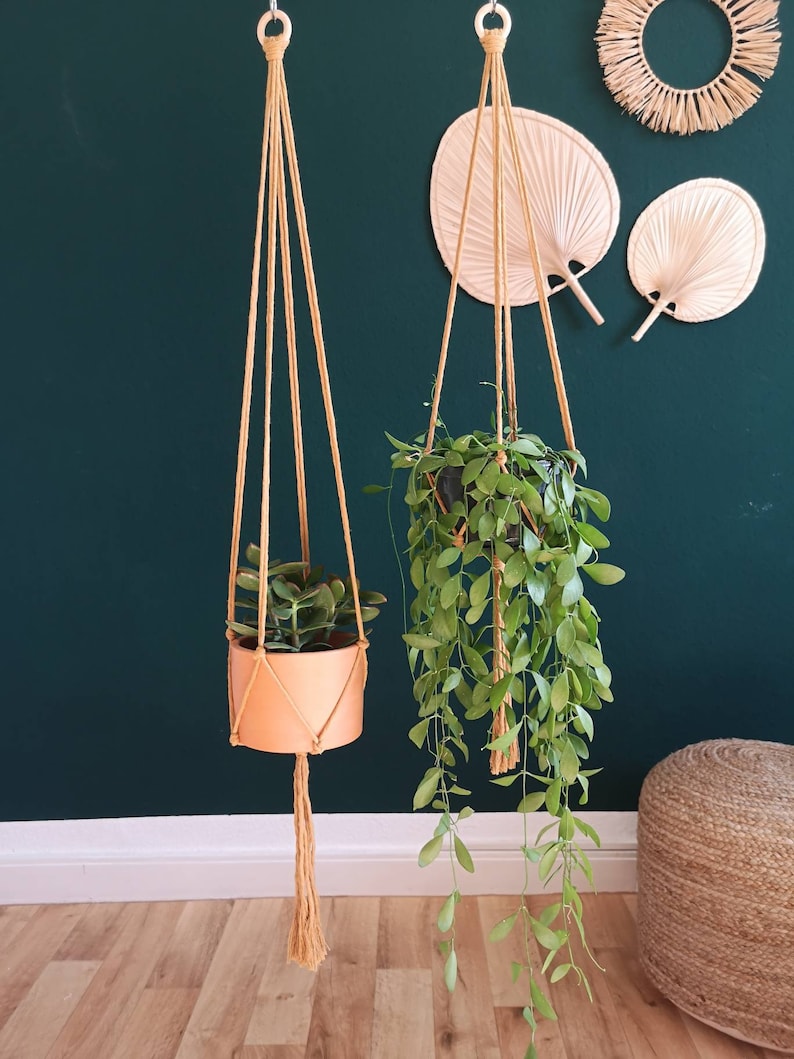 Puede incluir: Dos maceteros colgantes de macram&eacute; con macetas de terracota y plantas verdes colgando del techo contra una pared verde oscuro. Los maceteros colgantes tienen anillos de madera en la parte superior y borlas en la parte inferior.