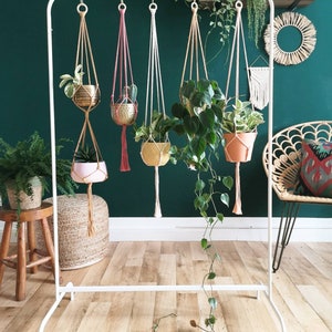 Puede incluir: Cinco maceteros colgantes de macram&eacute; con cordones de diferentes colores y plantas en macetas variadas. Los maceteros est&aacute;n colgados de un estante de metal blanco contra una pared verde oscuro.