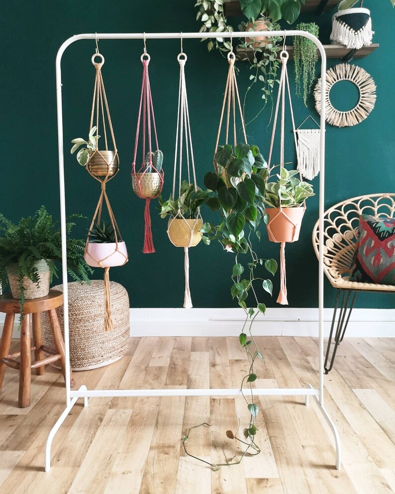 Puede incluir: Cinco maceteros colgantes de macram&eacute; con cordones de diferentes colores y plantas en macetas variadas. Los maceteros est&aacute;n colgados de un estante de metal blanco contra una pared verde oscuro.