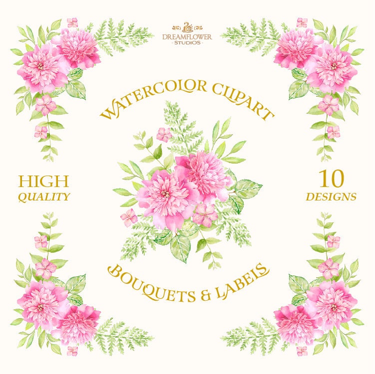 Peonies Clipart Peonies Watercolor Clipart Watercolor | Etsy