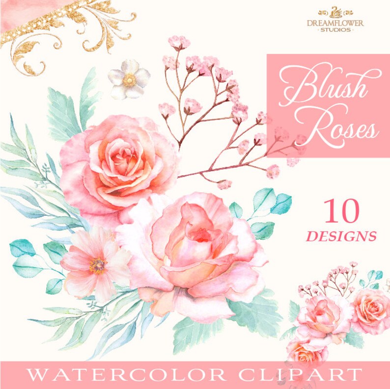 Blush Flower Clipart Watercolor Rose Clipart Pink Roses Png Etsy