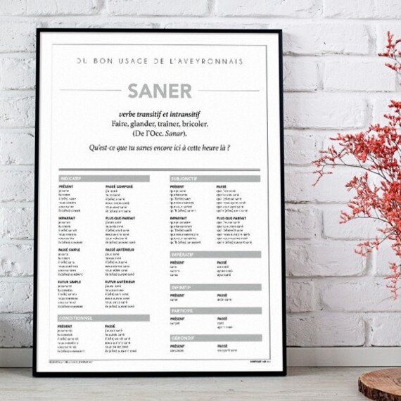 Affiche Conjugaison Saner 30x40cm