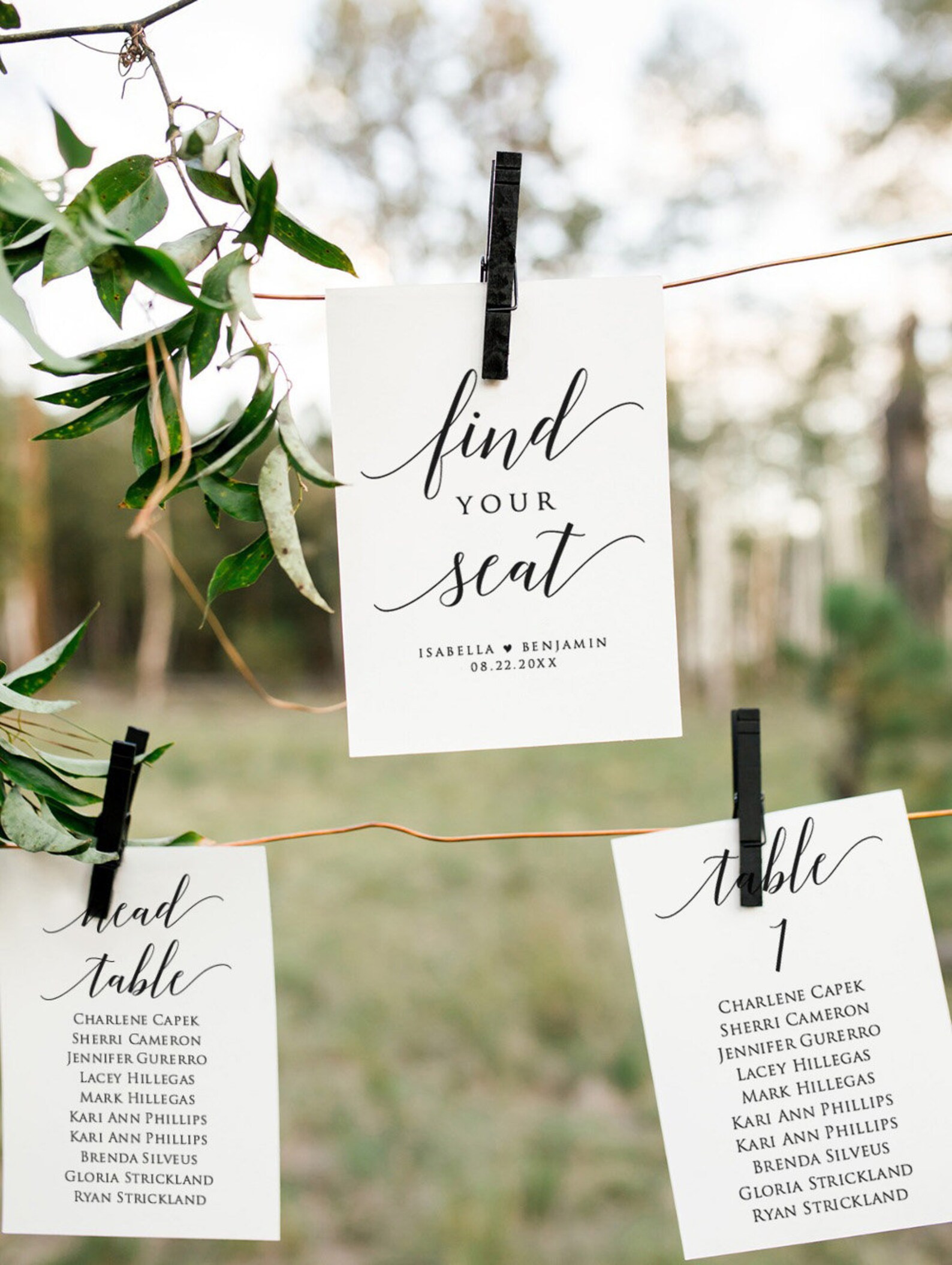 Printable Wedding Seating Chart Template, Modern Seating Chart ...