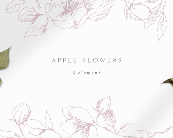 Border Flower Clipart Floral Clip Art Frame Apple Blossom Line Etsy Border Flower Clipart Floral Clip Art Frame Apple Blossom Line Etsy