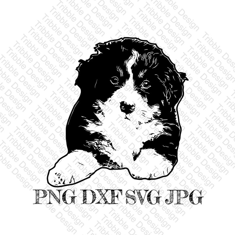 Download Bernese Mountain Dog Monogram Frame Svg Cutting File Clip Art Art Collectibles Theartistloft Co Uk