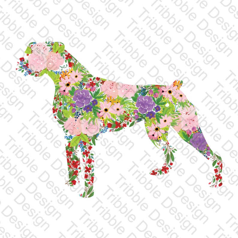 Download Boxer Floral Boxer Dog Svg Boxer Dog Floral Boxer Svg Cut Files For Cricut Files For Silhouette Heat Transfer Designs Clip Art Art Collectibles Shantived Com