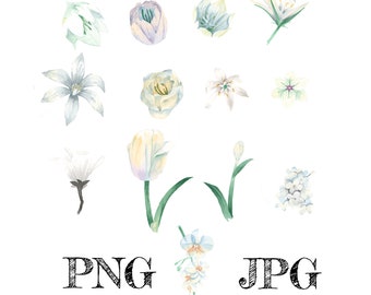 White Flowers Watercolor Bundle PNG, White Flowers, Floral Waterslides, Sublimation PNG | Digital Download | Printable Art | Digital Art