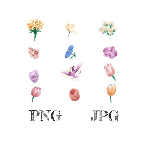 Watercolor Flowers Bundle Watercolor Flowers Png Watercolor Etsy Watercolor Flowers Bundle Watercolor Flowers Png Watercolor Etsy