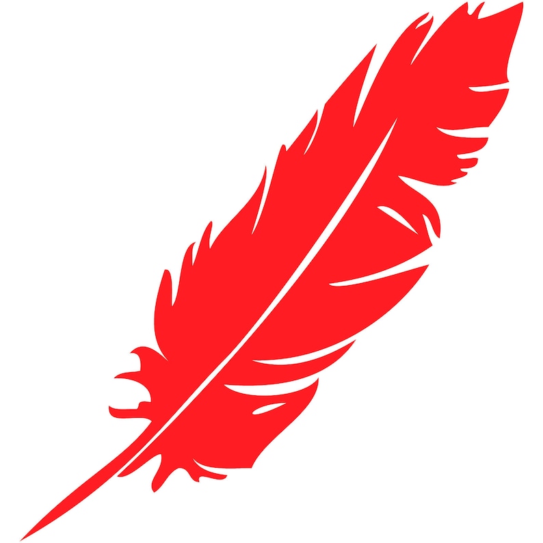 Feather Vinyl Decal Car Window Bumper Sticker Nursery Tribal Outdoor Select Color/Size image 7