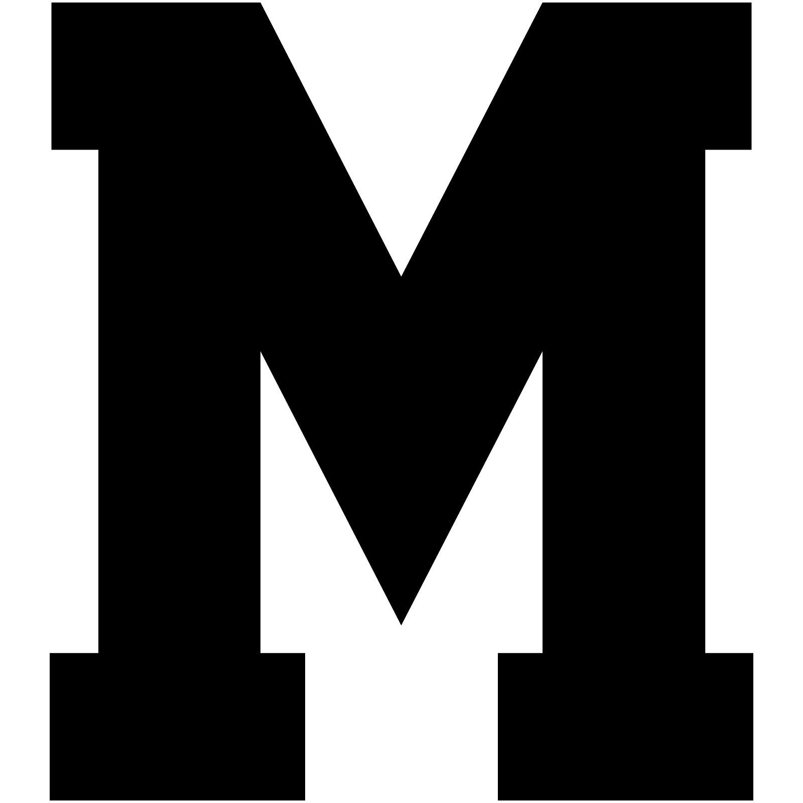M&E Report Template