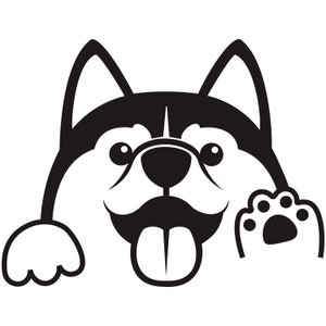 Husky Gluren Vinyl Decal Auto Raam Bumper Sticker Grappige Schattige Huskies