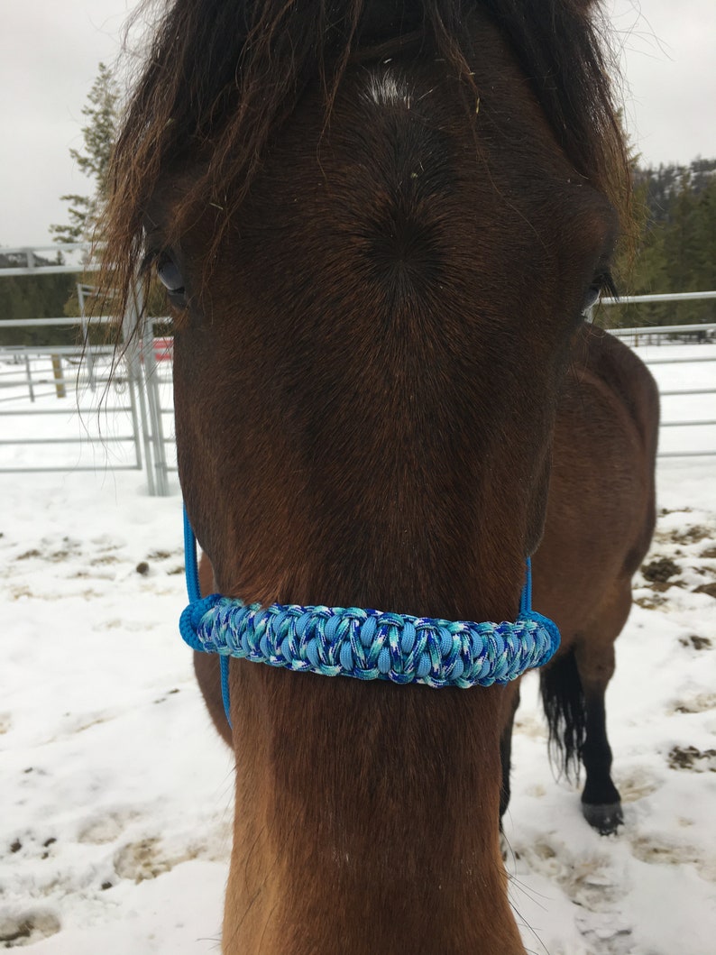 Rope Horse Halter With Braided Nose Band Two Knot Yacht Rope Etsy
