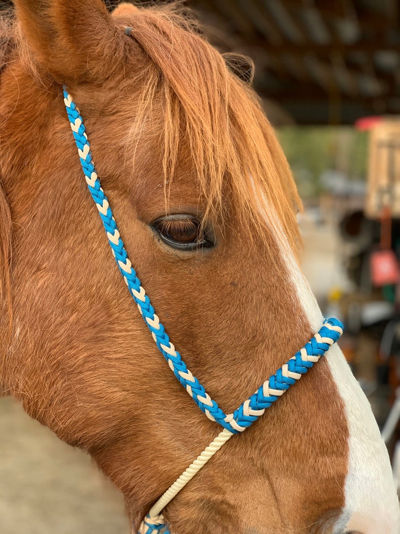 Lariat Rope Bosal Horse Bitless Riding Custom Braided Flat Etsy