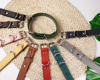 May include: Assortment of ten leather dog collars in various colors, including black, brown, pink, yellow, brown, red, green, gray, and dark green. The collars are arranged in a circle on a woven mat.
