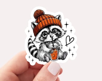 Fall Raccoon Sticker, Cute Raccoon Sticker, Fall Sticker, Cute Halloween Sticker, Spooky Season Sticker, Cute Fall Stickers, Gift For Fall