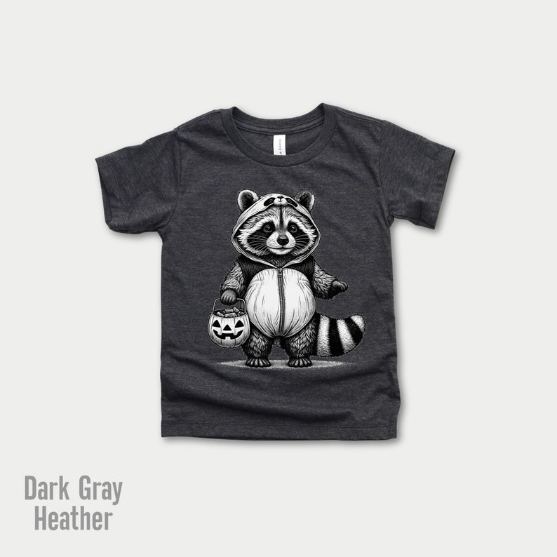 May include: Dark gray heather youth t-shirt with a black and white illustration of a raccoon wearing a Halloween costume and holding a jack-o-lantern.